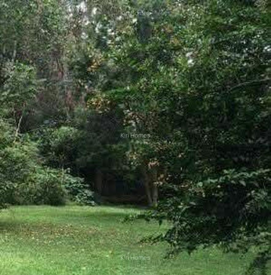 Land at Windy Ridge - 4