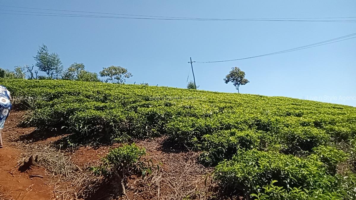 Residential Land in Tigoni - 11