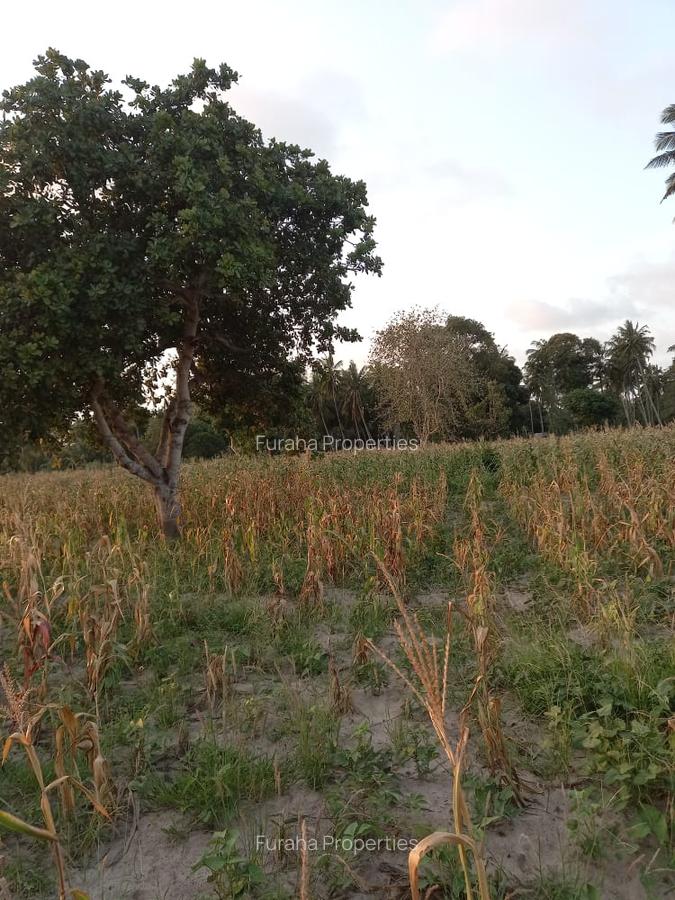 12 ac Commercial Land at Bomani Area - 5