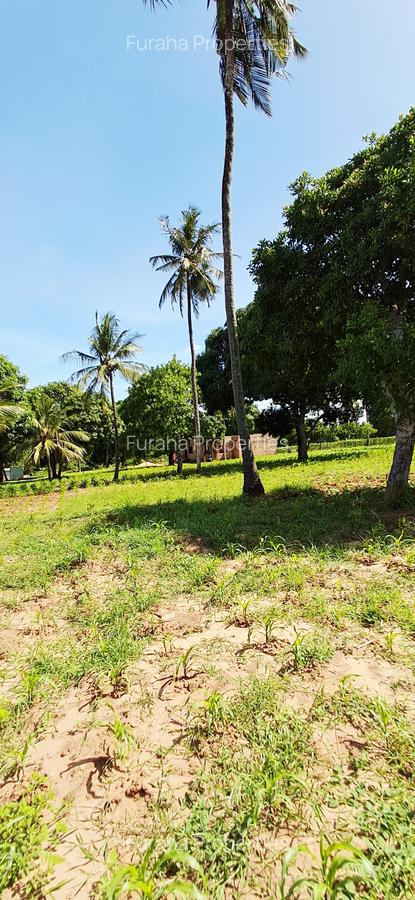 Land at Kilifi Tezo - 17