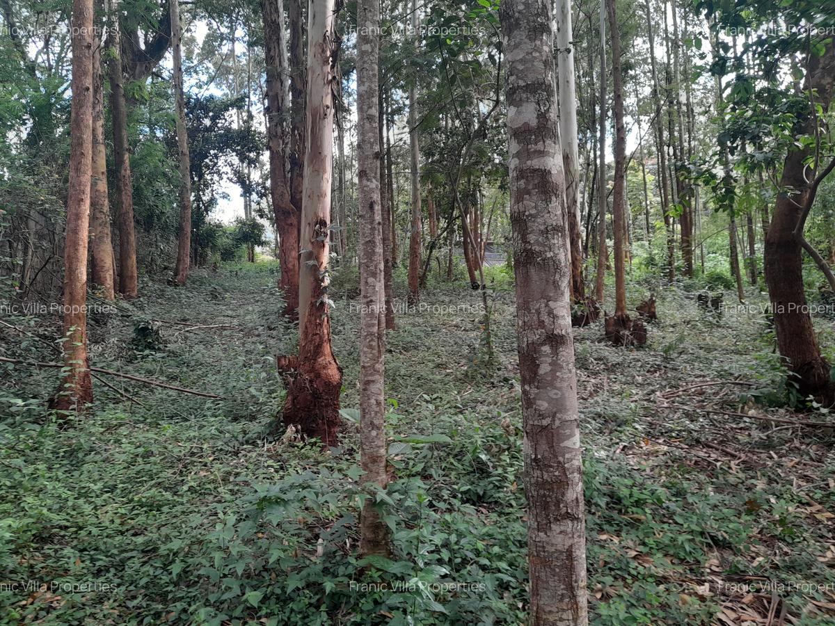 0.5 ac Residential Land at Old Kitisuru - 12