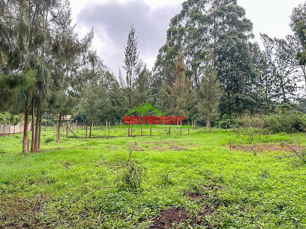 0.05 ha Commercial Land in Kikuyu Town - 8