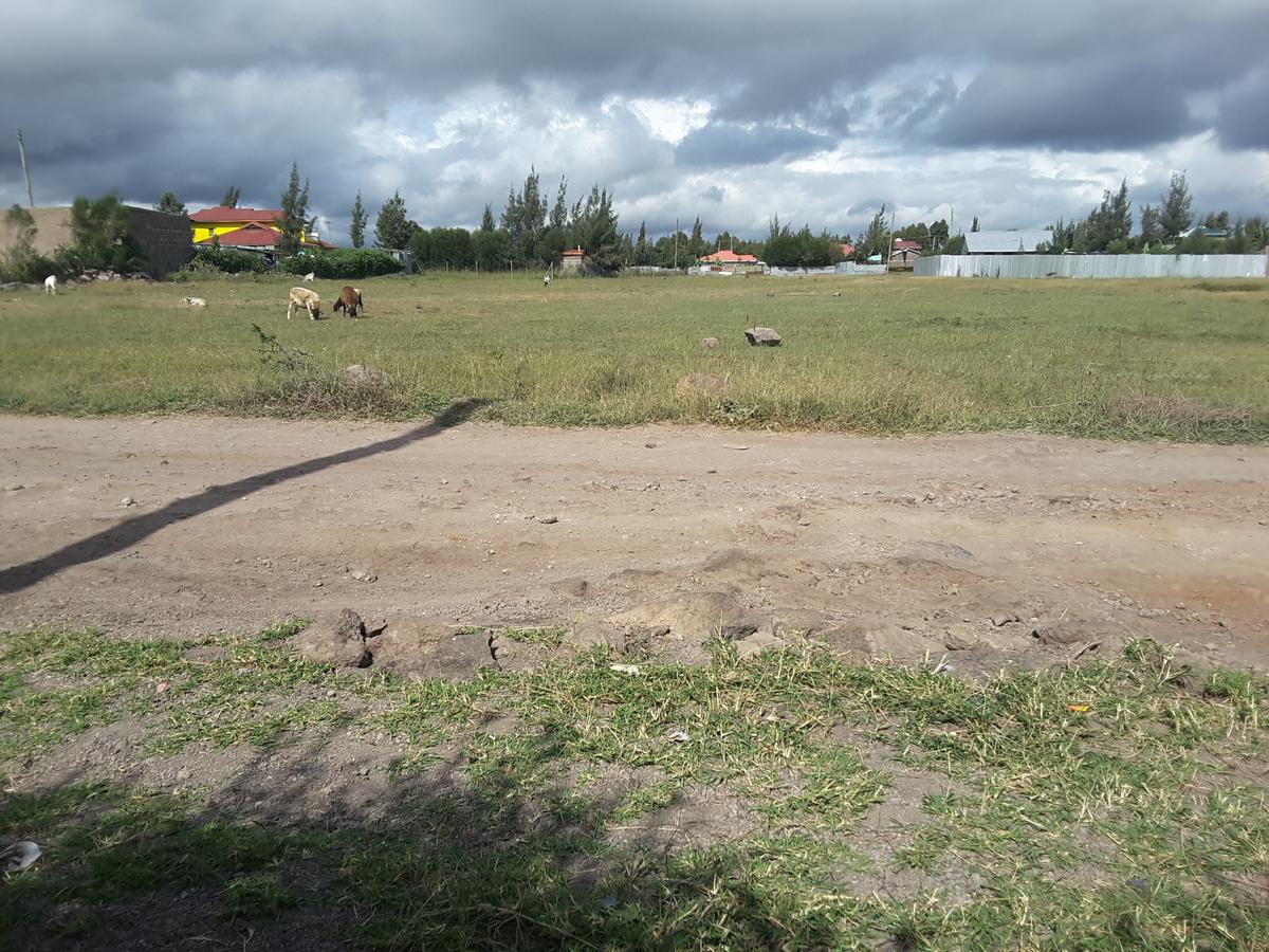 1 ac Residential Land in Ongata Rongai - 12