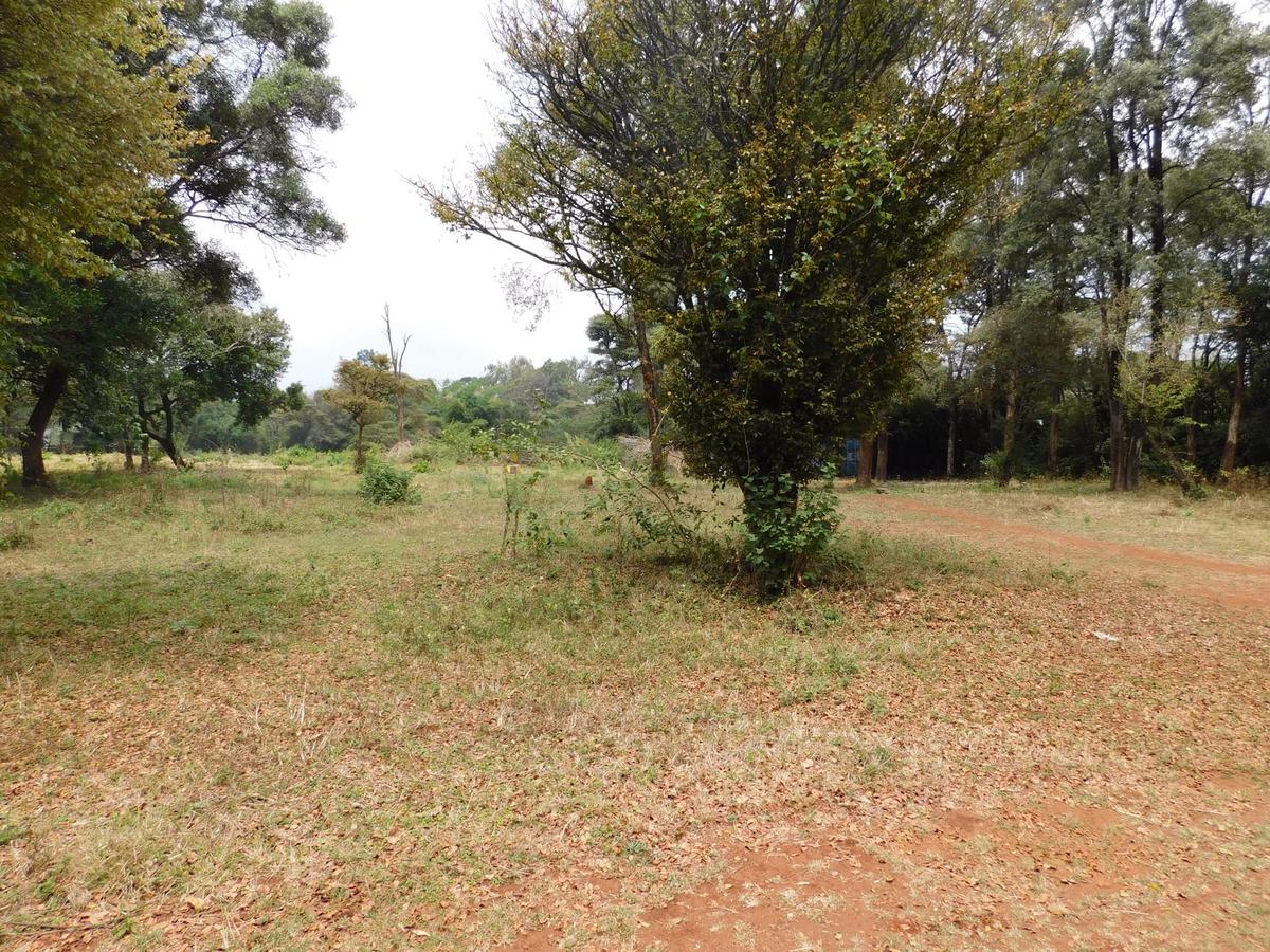 9 ac Land in Karen - 4