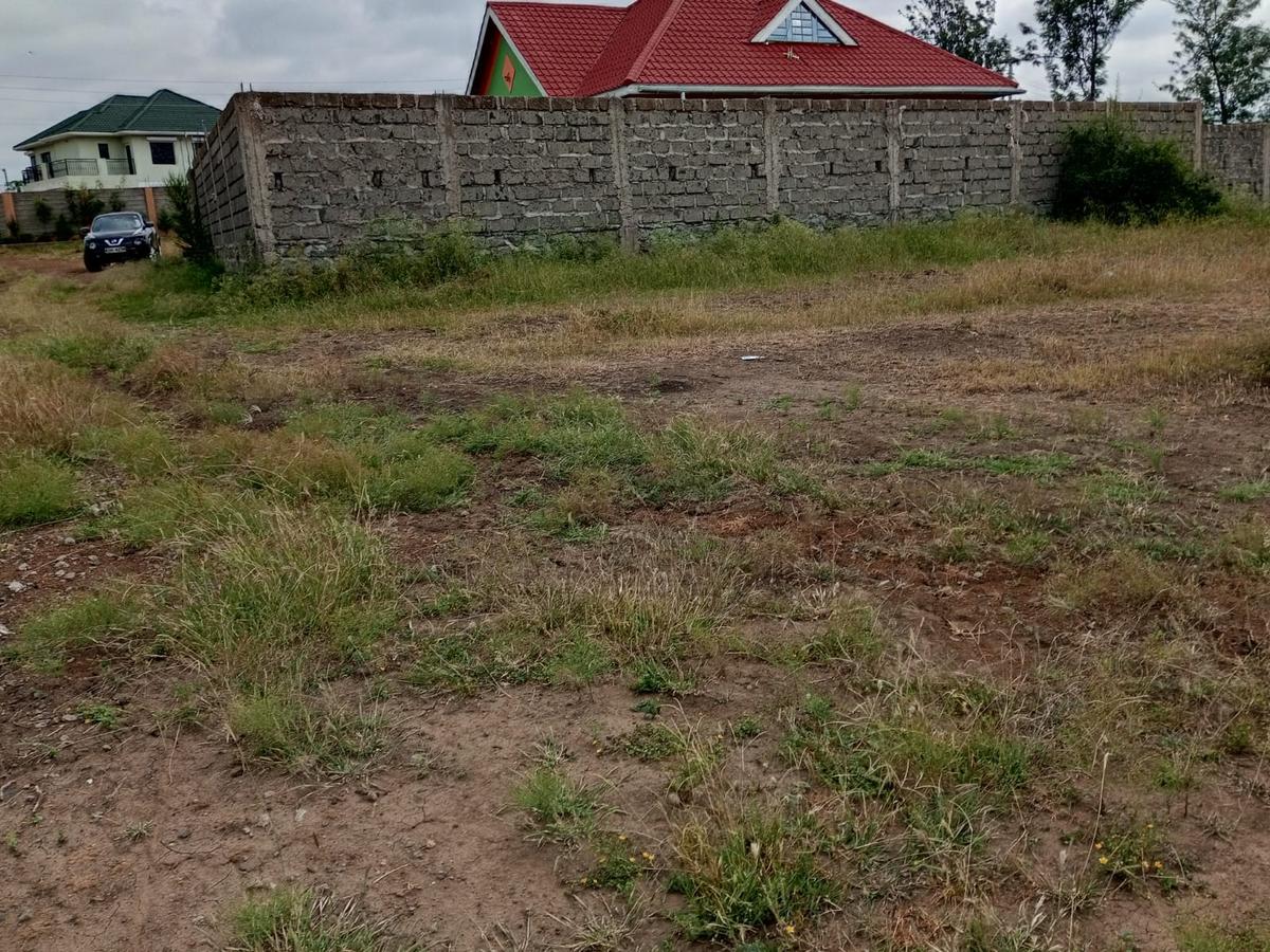 0.125 ac Residential Land at Kamakis - 3