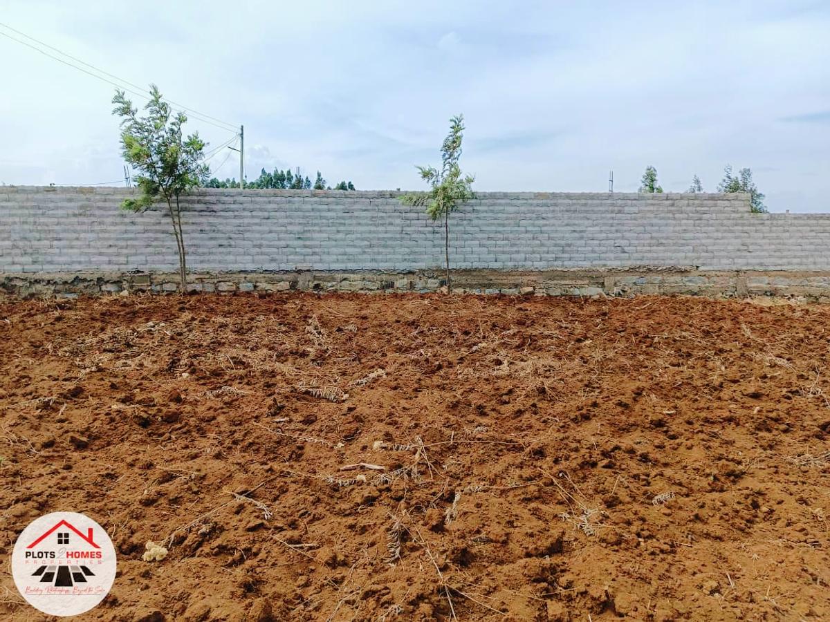 500 m² Residential Land at Runana - 4