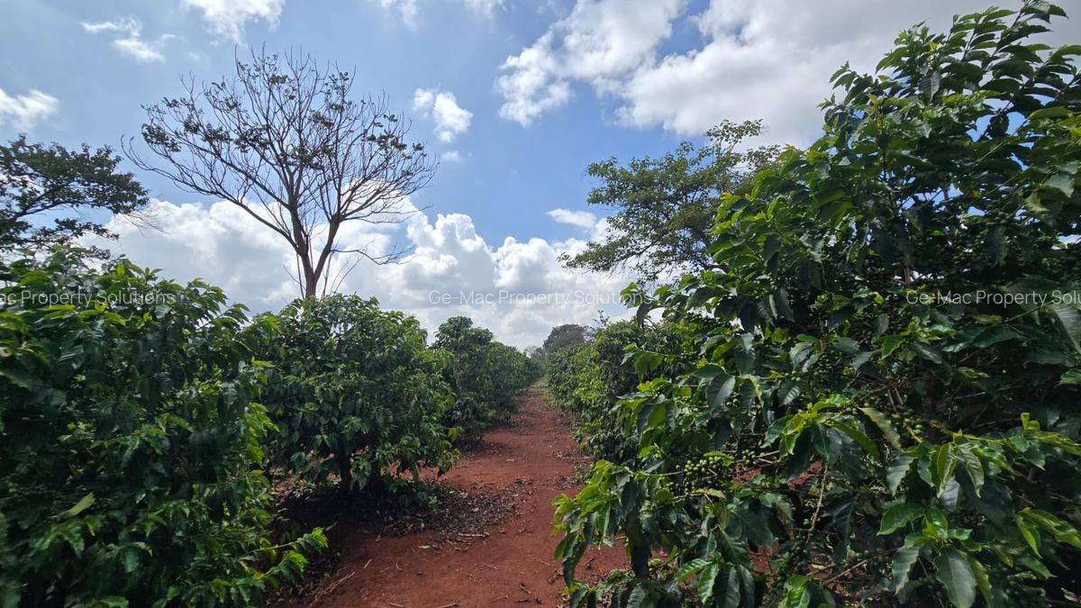 0.25 ac Residential Land in Runda - 16