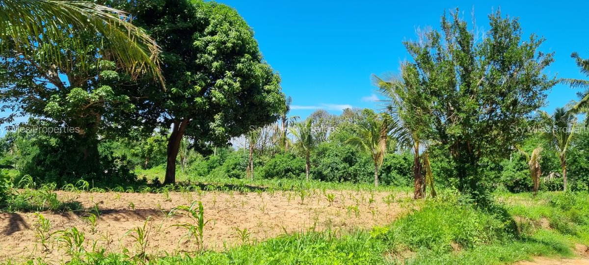 1 m² Land at Bomani - 7