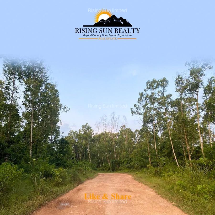 Land at Funzi Island. Limited Parcels Of Land For Sale On Funzi Island - 14