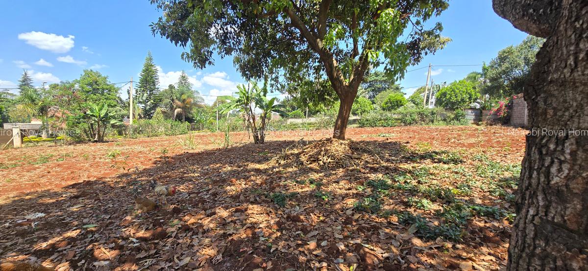 Residential Land at Flem Tree - 13