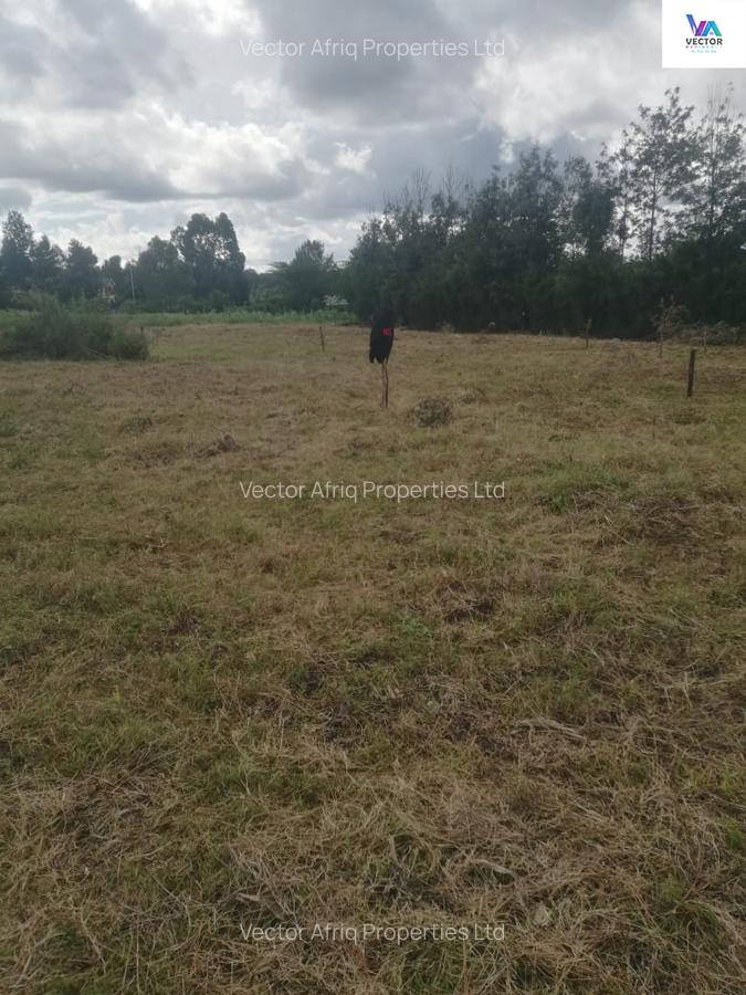 Land in Ngong - 1