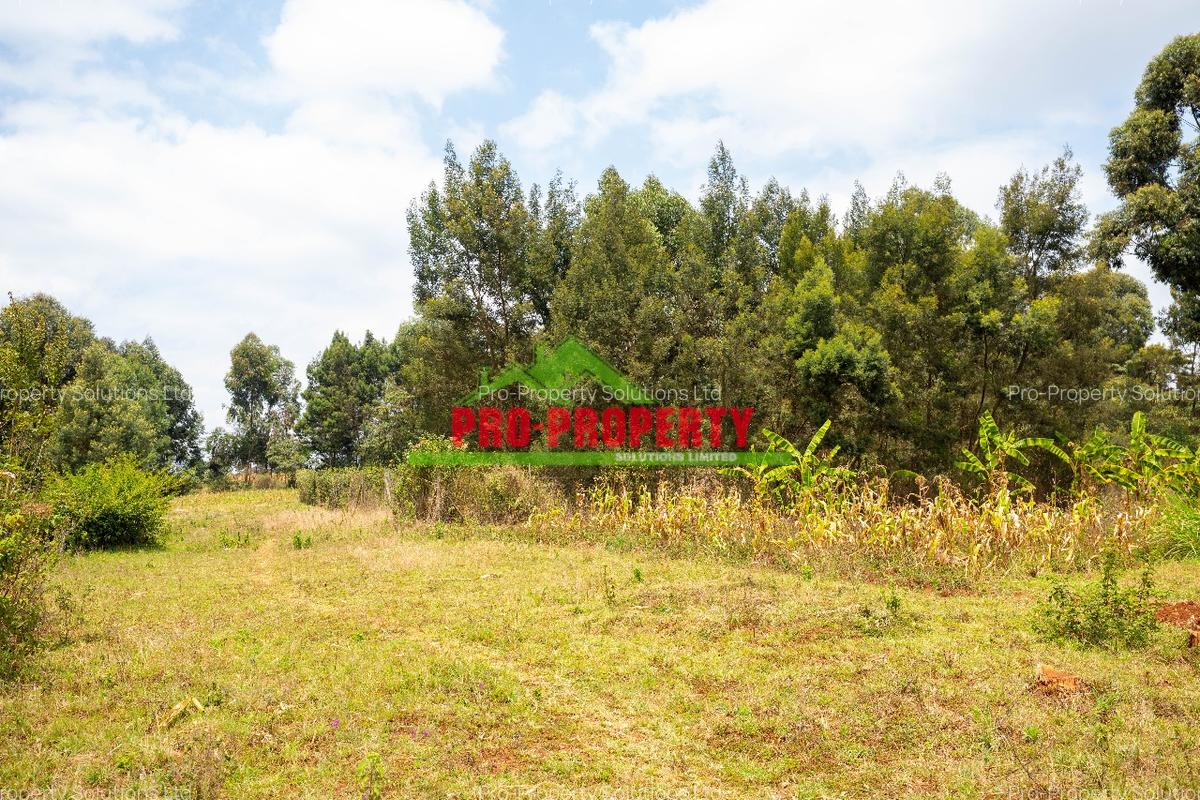 0.05 ha Residential Land in Kikuyu Town - 15