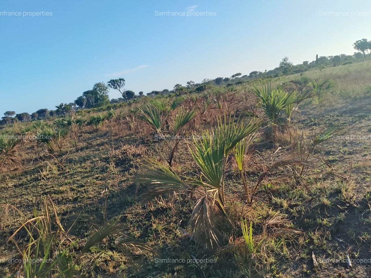 33 ac Commercial Land at Kiwengu - 1