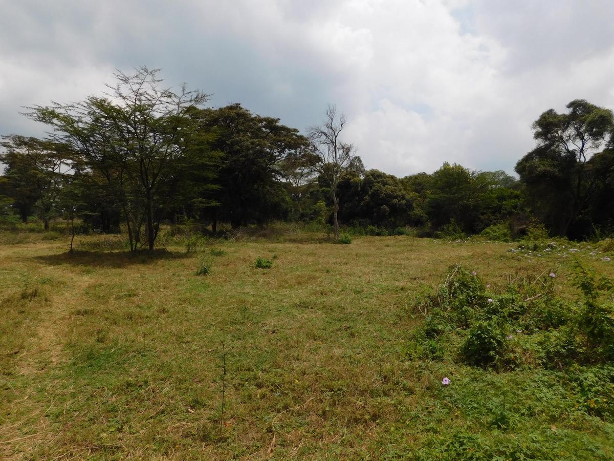 9 ac Land in Karen - 8