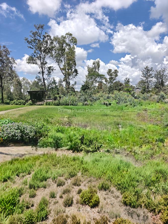 0.75 ac Land in Karen - 4