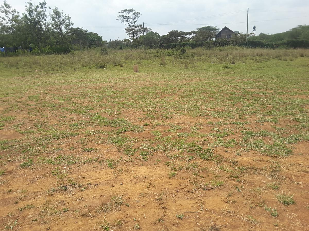 0.25 ac Residential Land in Ongata Rongai - 5