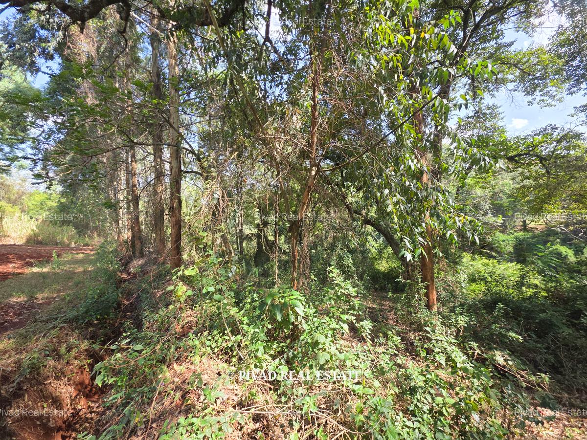 4.7 ac Land in Kitisuru - 1