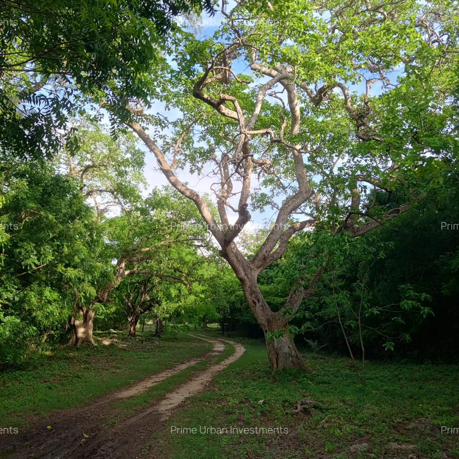 90 ac Residential Land at Kuruwitu-Vipingo - 6