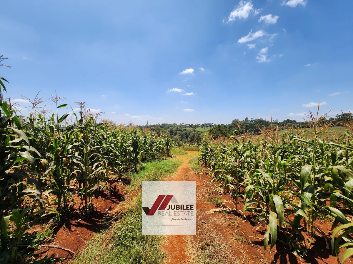 25 ac Land in Kitisuru - 10