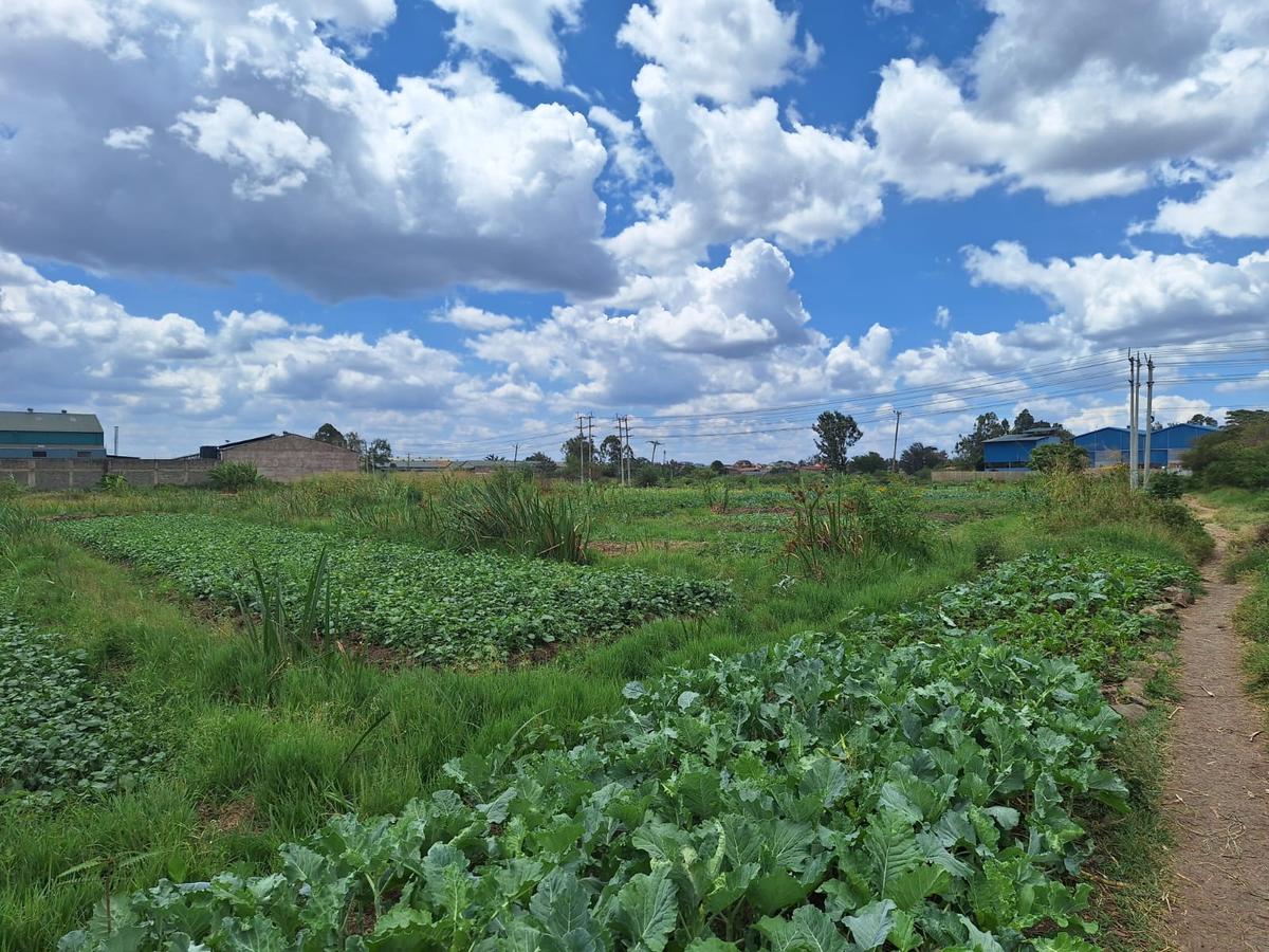 2.5 ac Commercial Land at Thika - 6