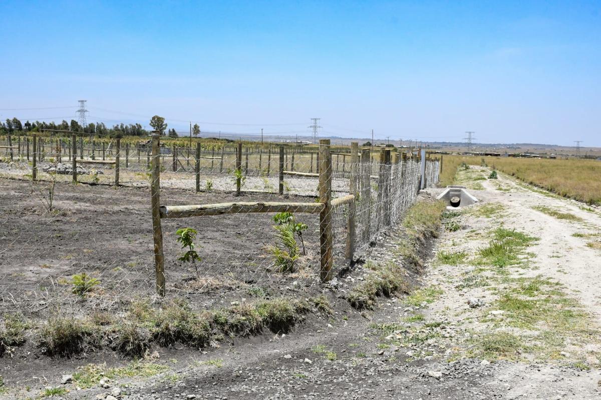 Residential Land at Kitengela Kisaju Spring Gardens - 4 Residential Land at Kitengela Kisaju Spring Gardens - 4