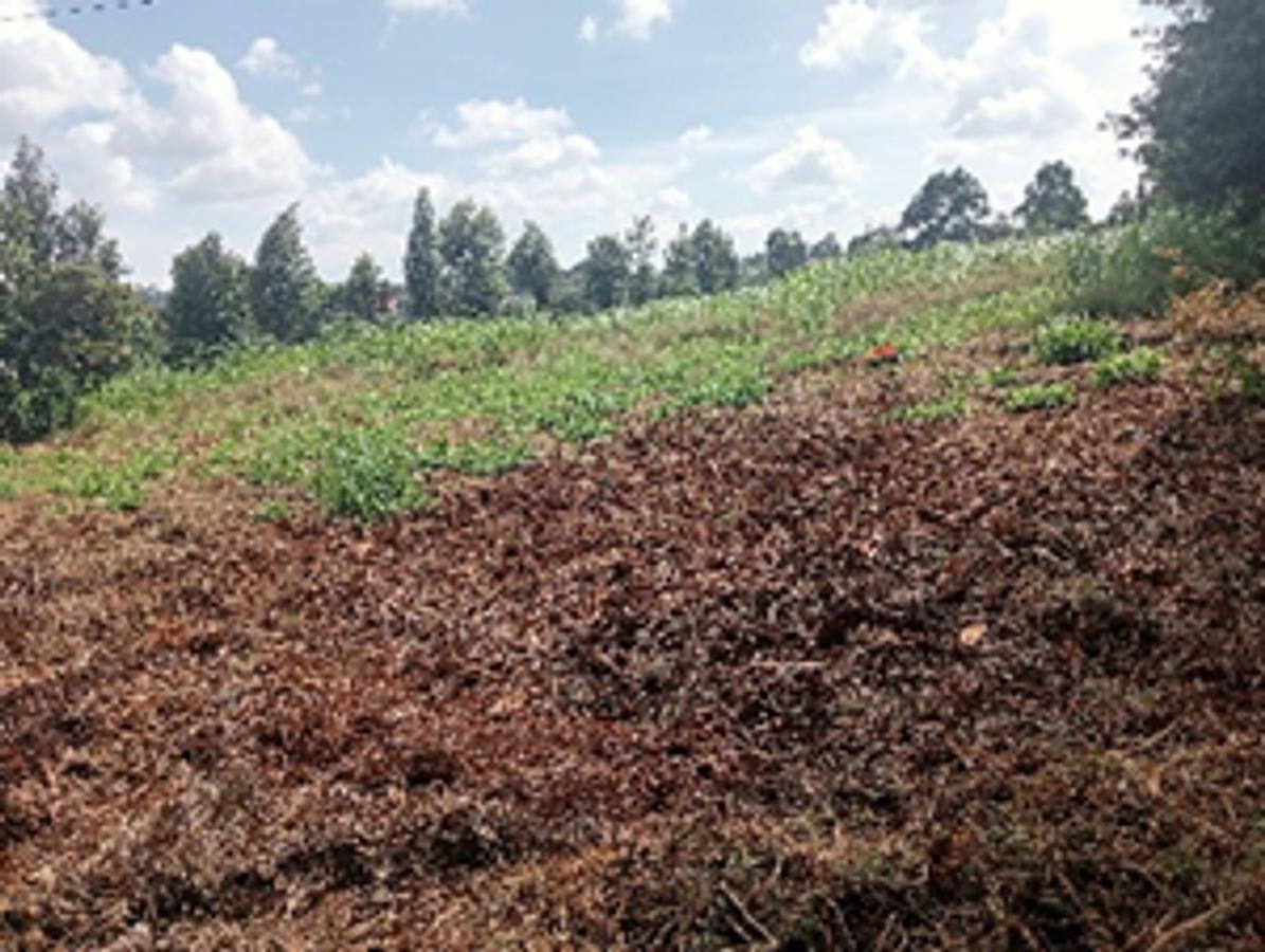 Land in Kikuyu Town - 5