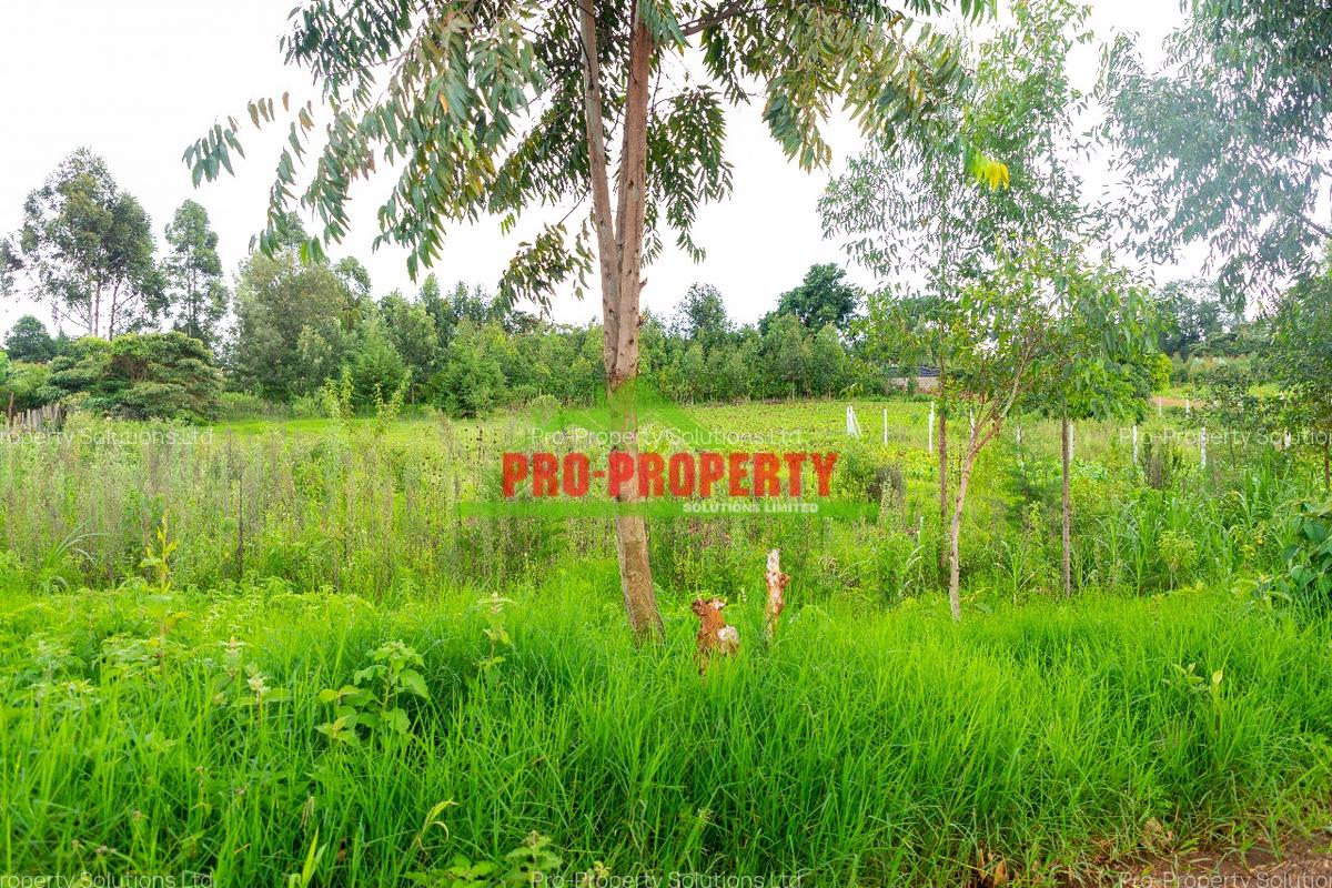 0.5 ha Commercial Land at Ondiri - 3