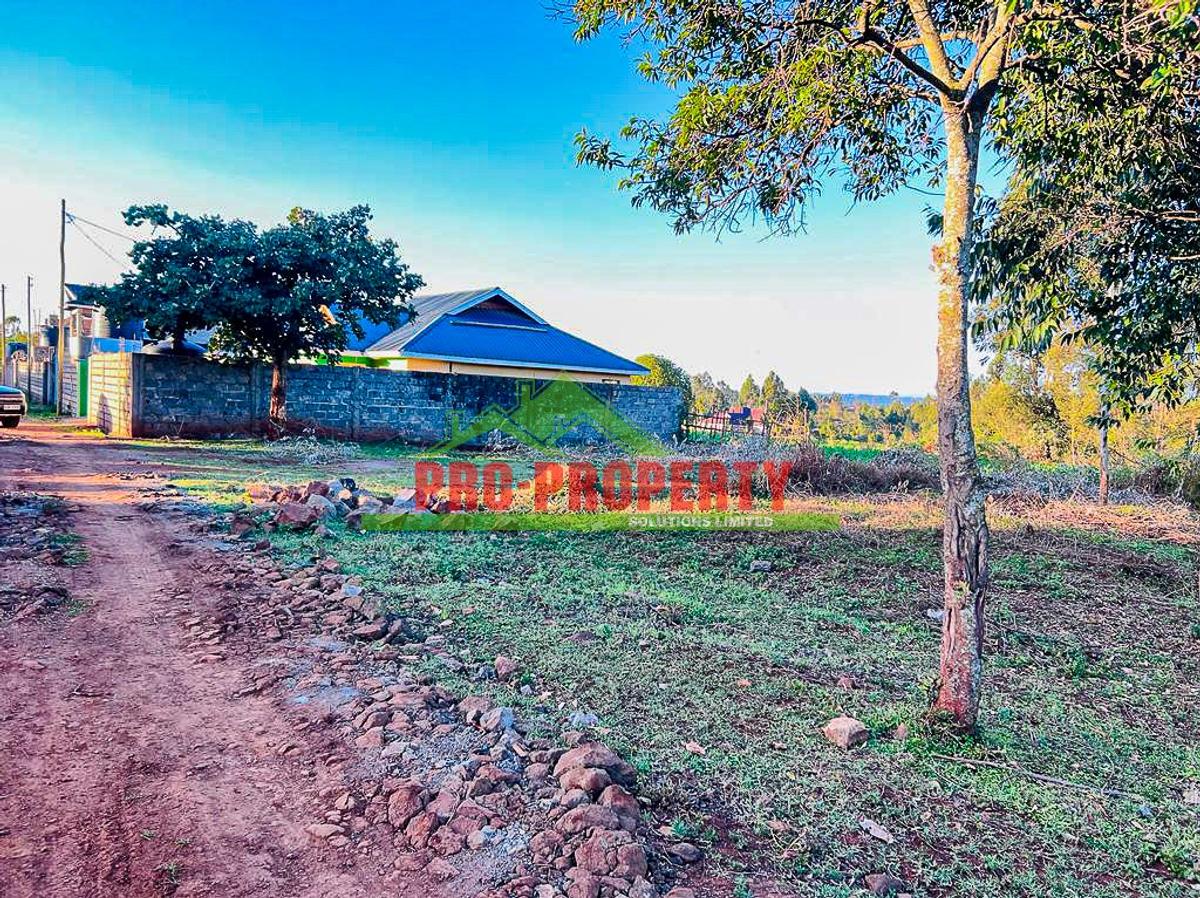 0.05 ha Residential Land in Kikuyu Town - 15