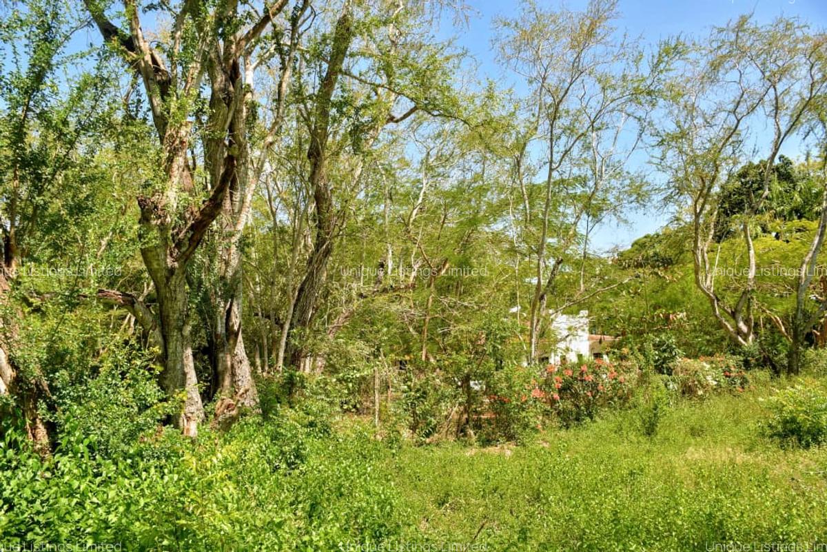 0.5 ac Land in Mtwapa - 5