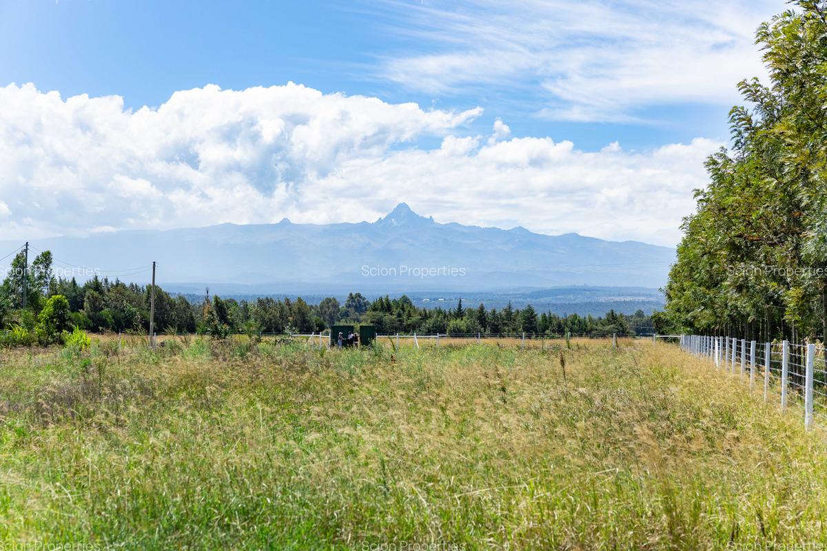 0.125 ac Residential Land in Nanyuki - 1