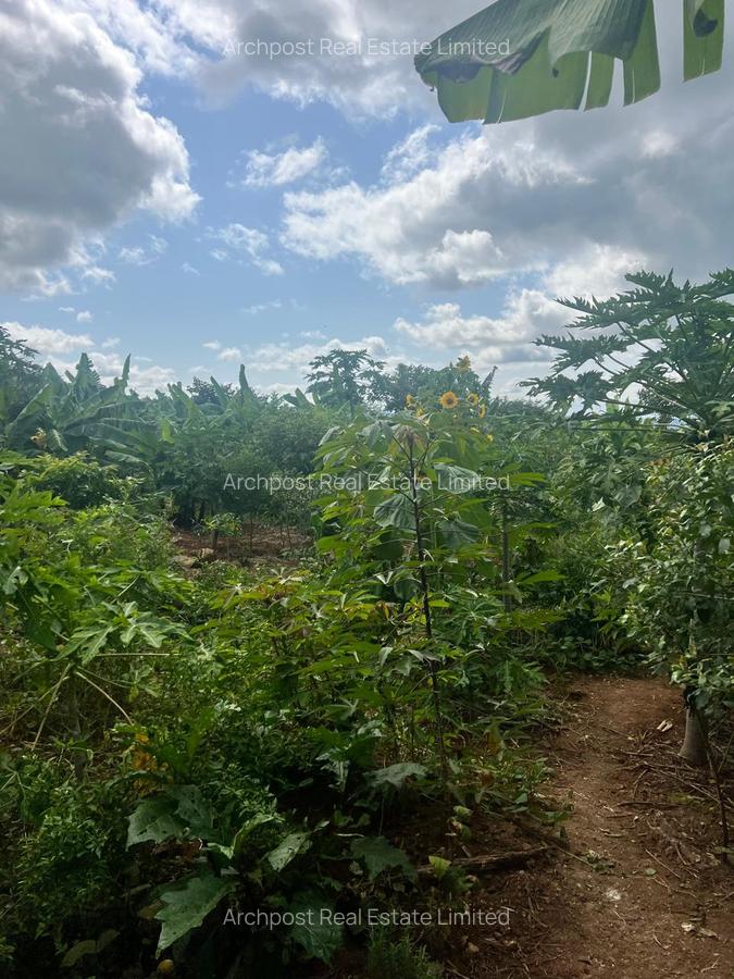 2 ac Land at Karingani - 10