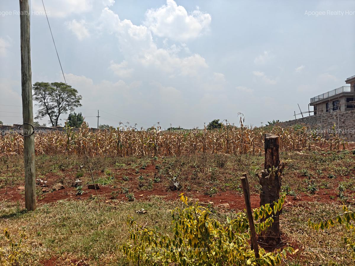 0.5 ac Land at Runda - 7