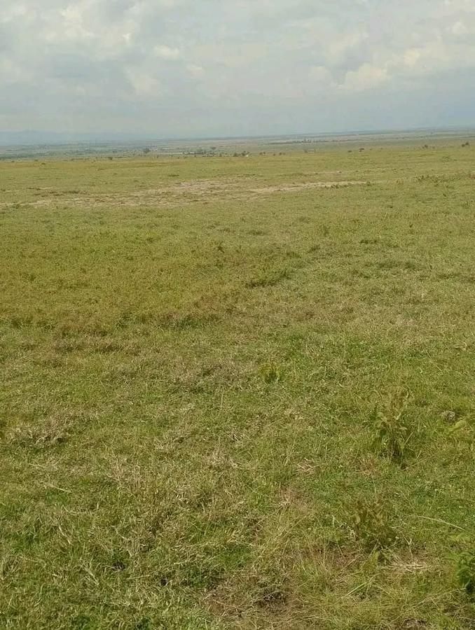 Residential Land in Nanyuki - 5