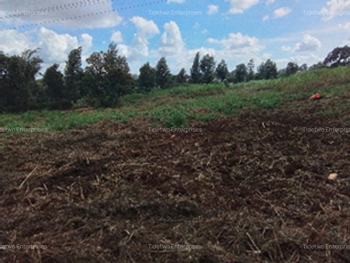 Land in Kikuyu Town - 2