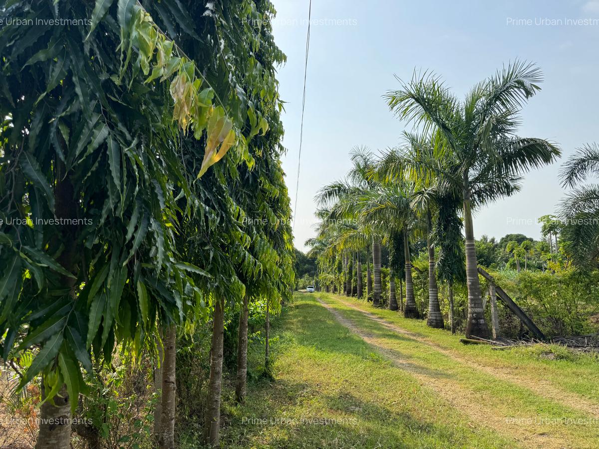 3 Bed House with En Suite in Mtwapa - 19