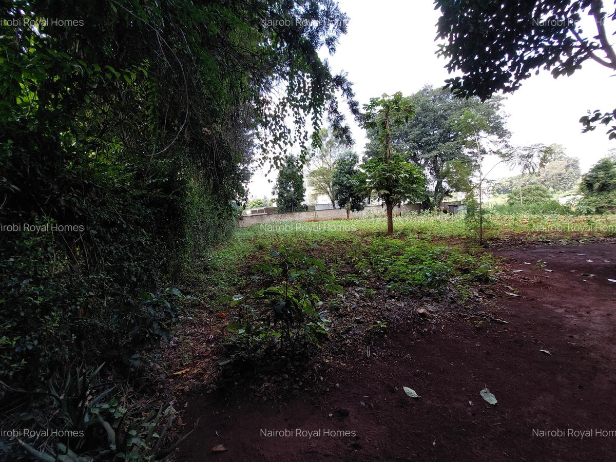 Residential Land at Kirawa Road - 6