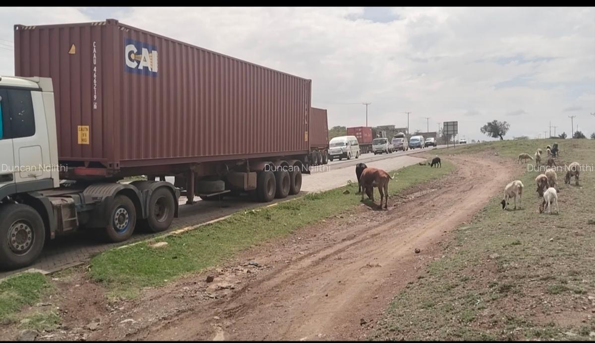 Residential Land at Gema - 2