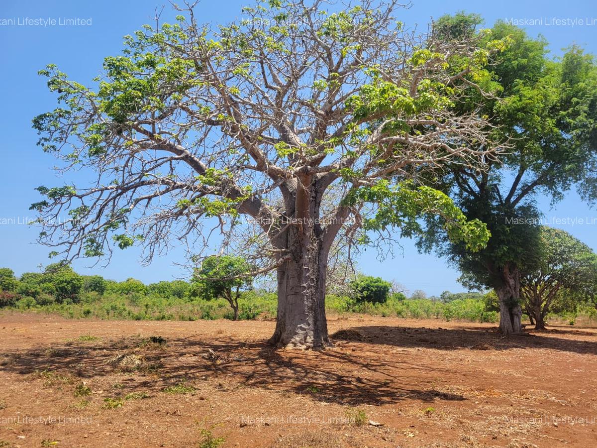 0.2 ha Land at Beach Road - 2