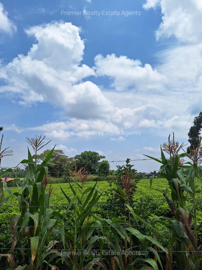 1 ac Residential Land at Tigoni - 5