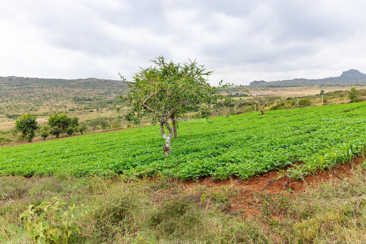 0.125 ac Residential Land in Athi River - 3