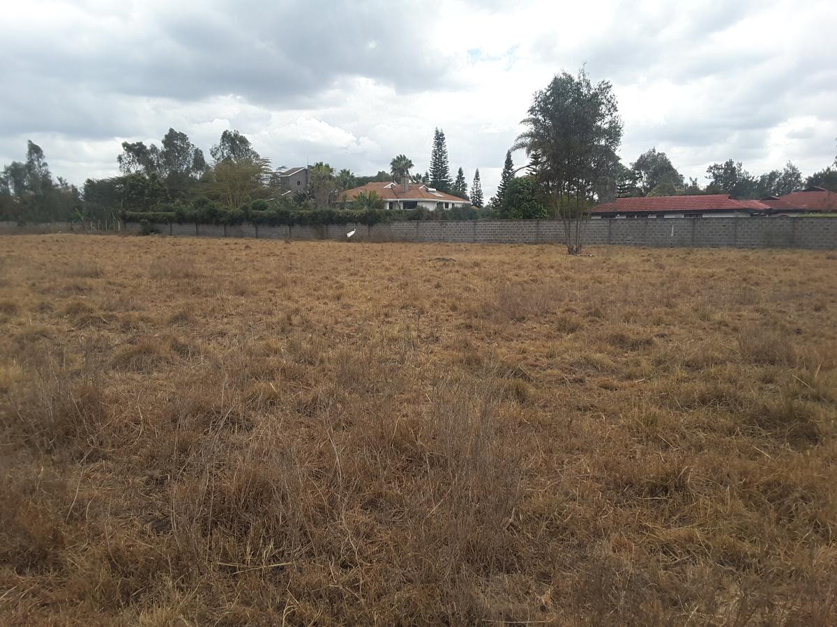 0.5 m² Residential Land in Karen - 1