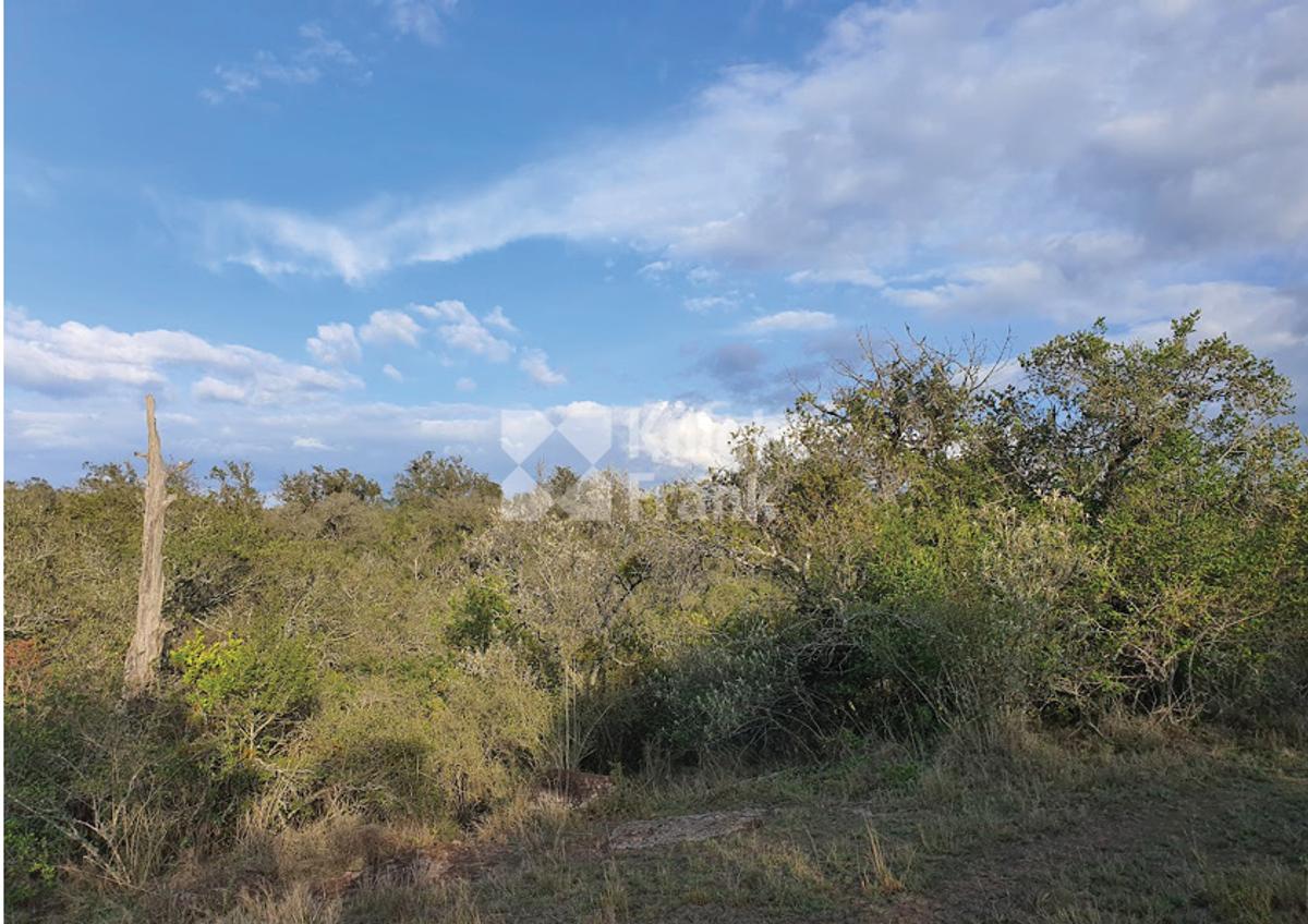 10 ac Land in Nanyuki - 3