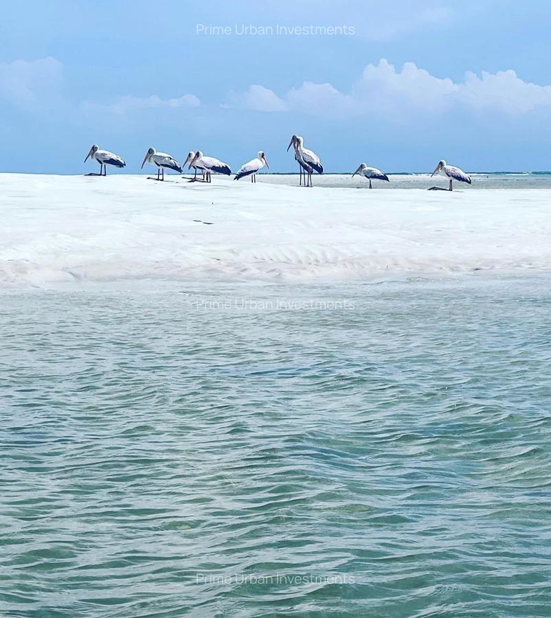 4,047 m² Land at Funzi Island Beach - 5