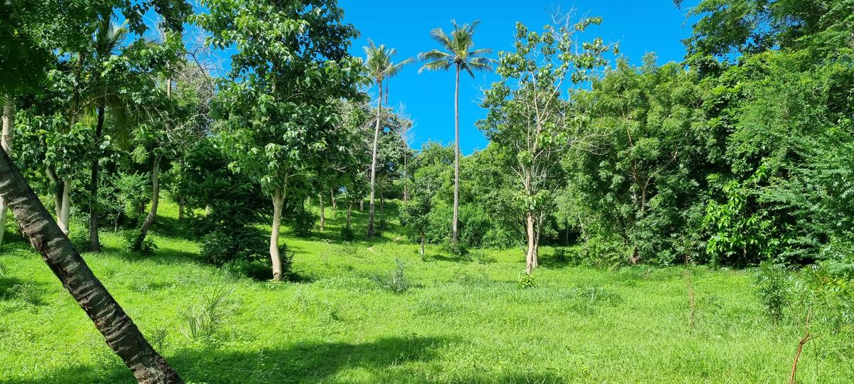 2.5 ac Land at Mtwapa Creekside - 14