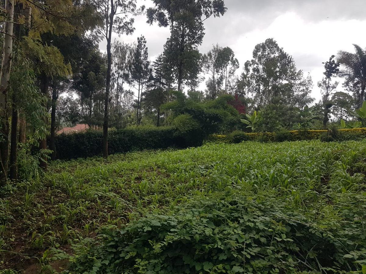 1.25 ac Land in Ngong - 2