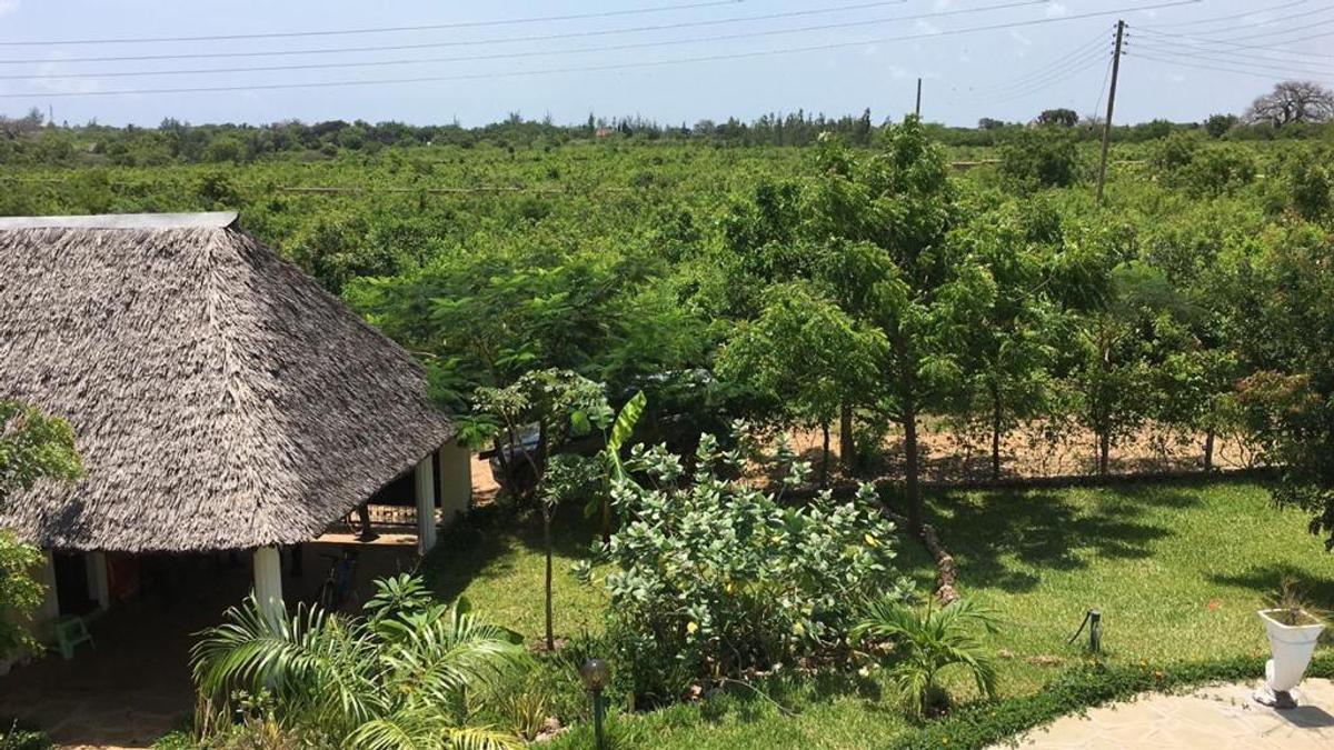 1,000 m² Land in Diani - 20