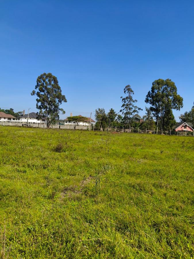 Residential Land at Marula Road - 8