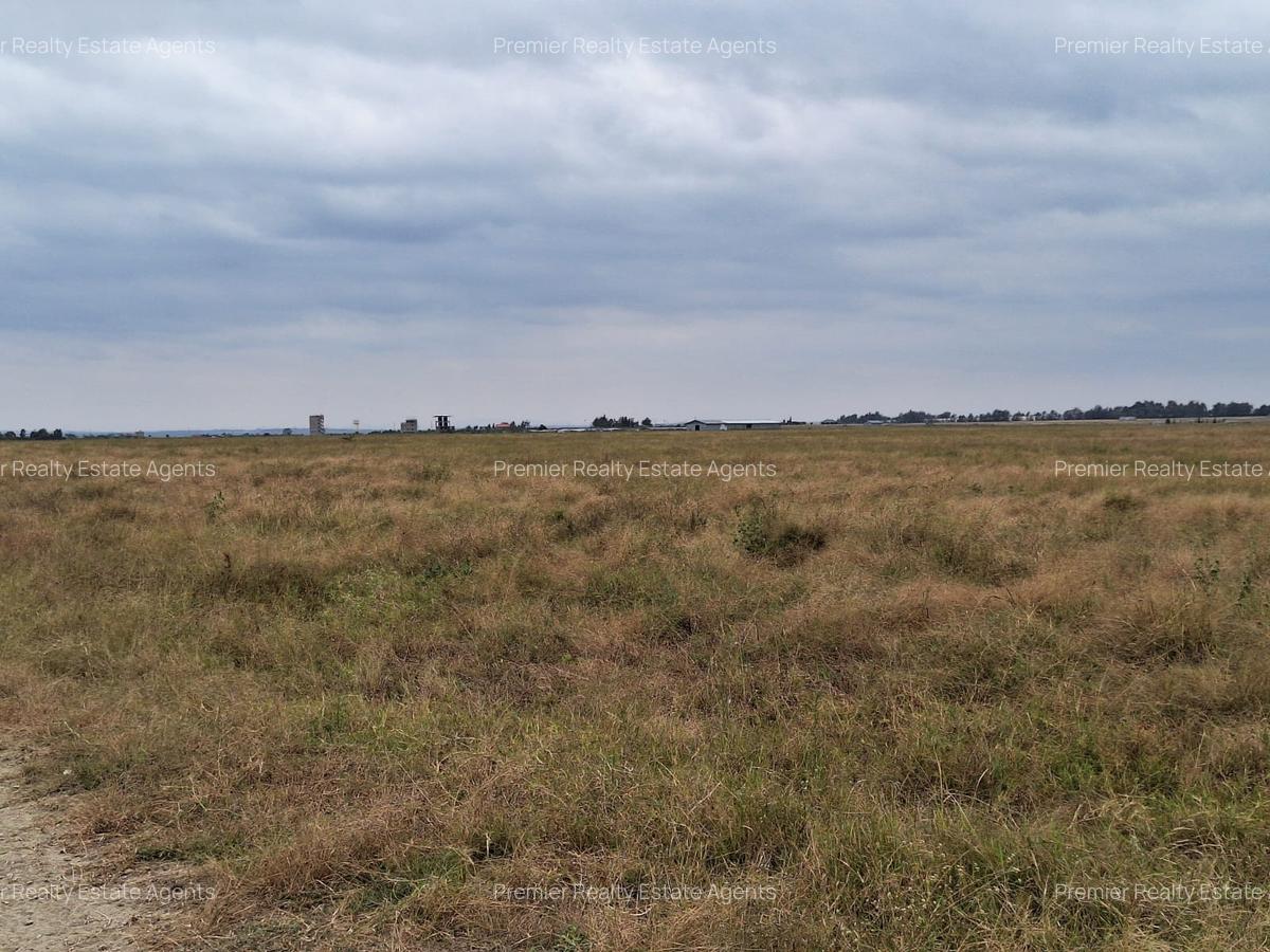 700 ac Land at Bisil - 4