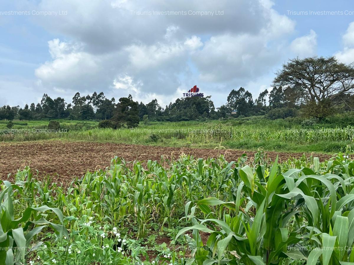 10 ac Land at Tigoni - 1