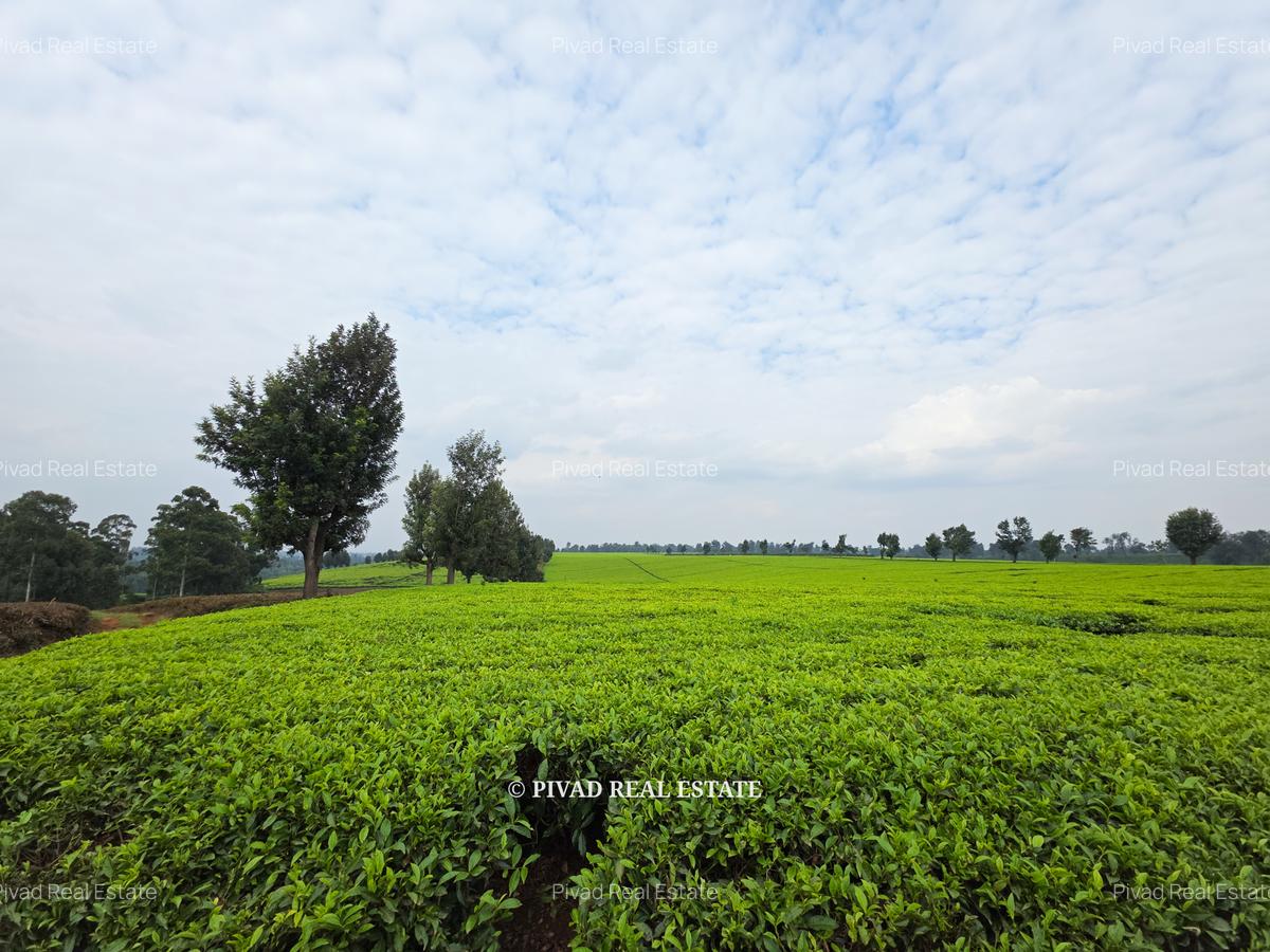 995 ac Land in Tigoni - 11